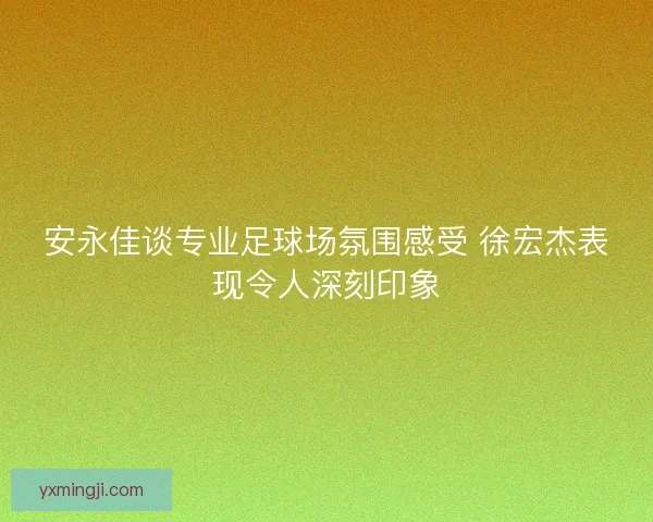 安永佳谈专业足球场氛围感受 徐宏杰表现令人深刻印象
