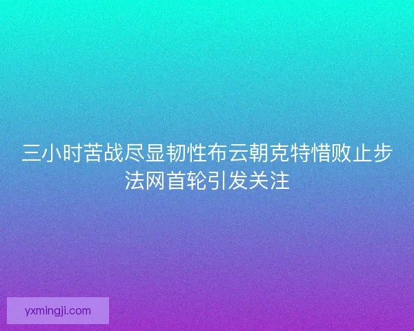 三小时苦战尽显韧性布云朝克特惜败止步法网首轮引发关注